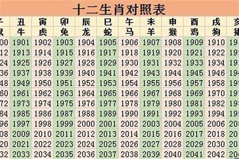 今年是什么年2024